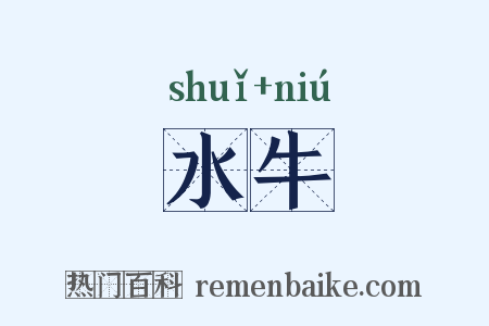 水牛是什么意思的图片